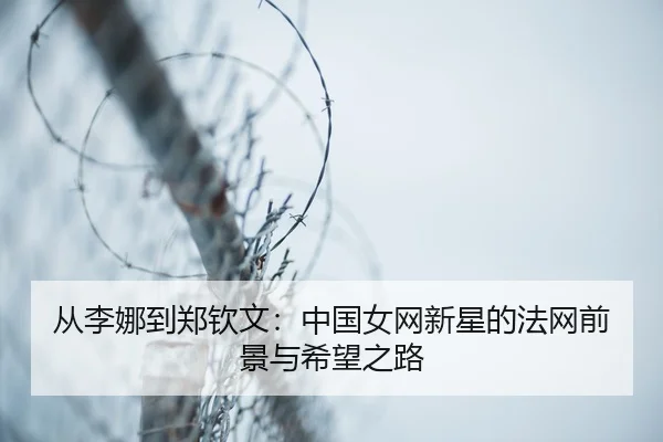cong-li-na-dao-zheng-qin-wen-zhong-guo-nv-wang-xin-xing-de-fa-wang-qian-jing-yu-xi-wang-zhi-lu-3-231.jpg